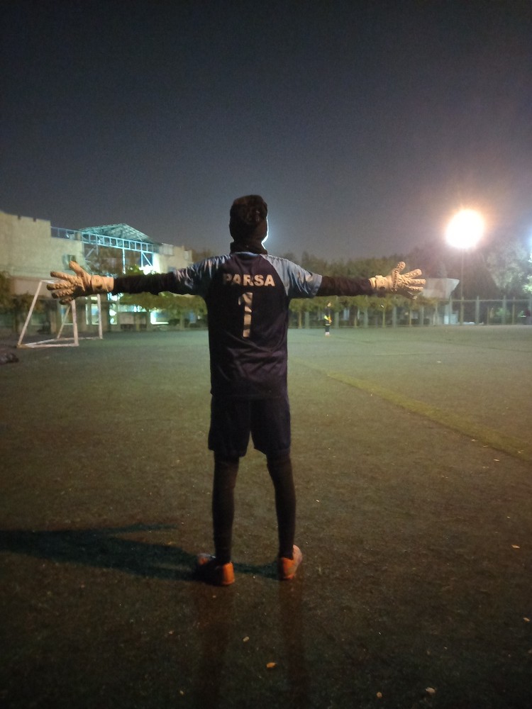 پارسا ورمقانی